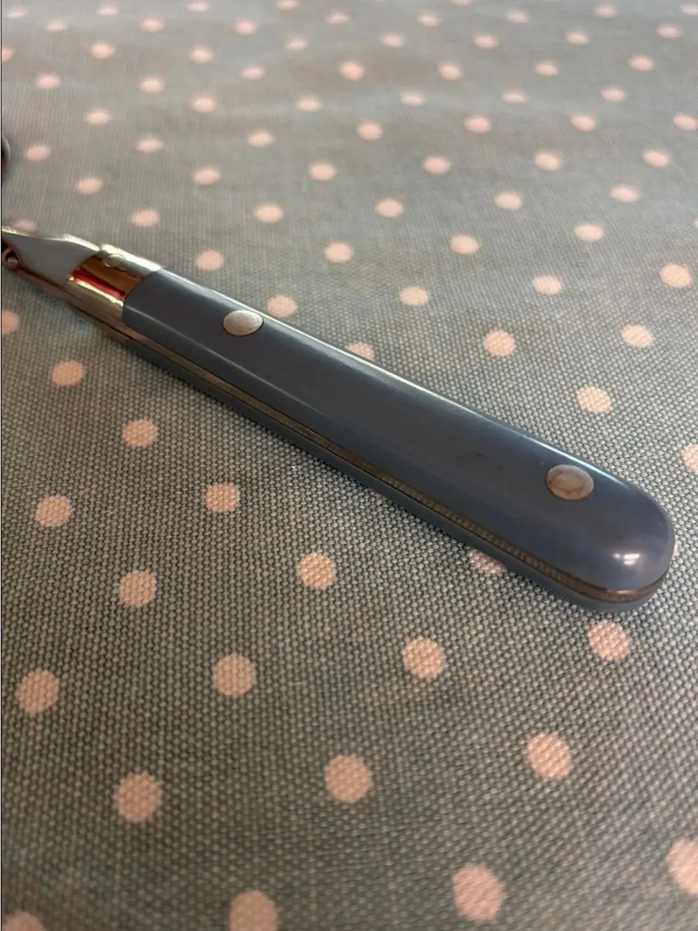 Vintage Washington Forge PIE server with stainless steel slotted head in Blue